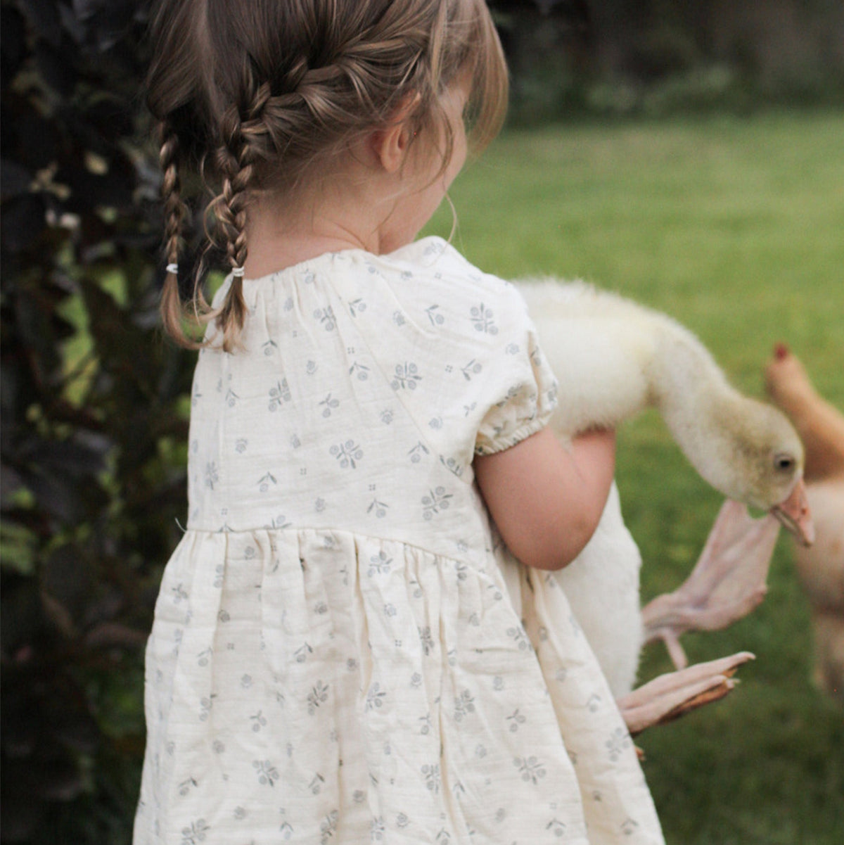 Winter Berry Bella Dress - Quincy Mae
