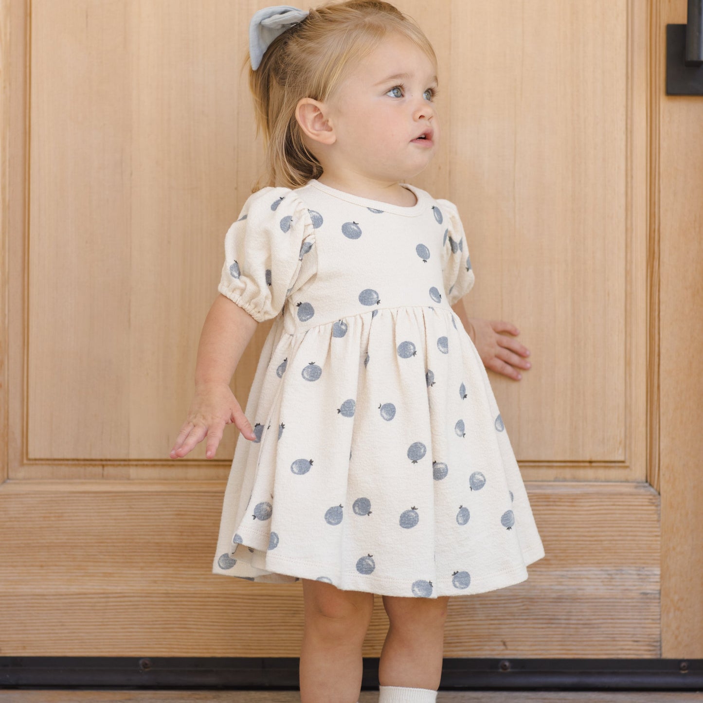 Blueberries Darla Dress - Quincy Mae