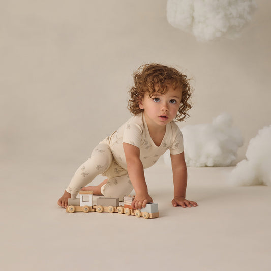 Elephant Short Sleeve Bamboo Set - Quincy Mae
