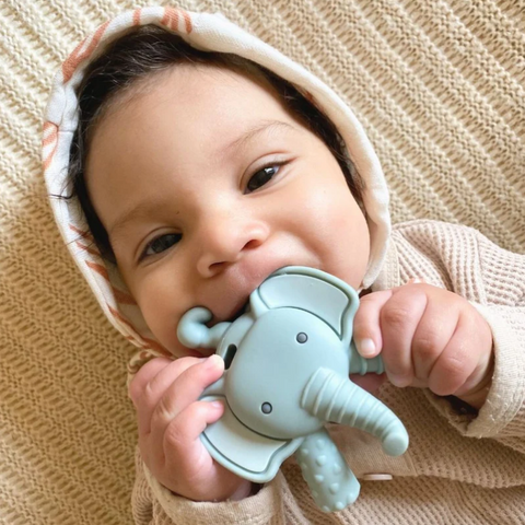 Elephant Molar Teether - Itzy Ritzy