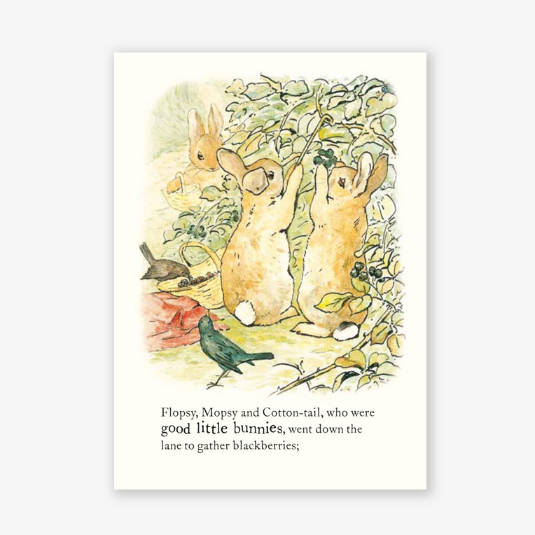 Tale of Peter Rabbit Board Book - Beatrix Potter
