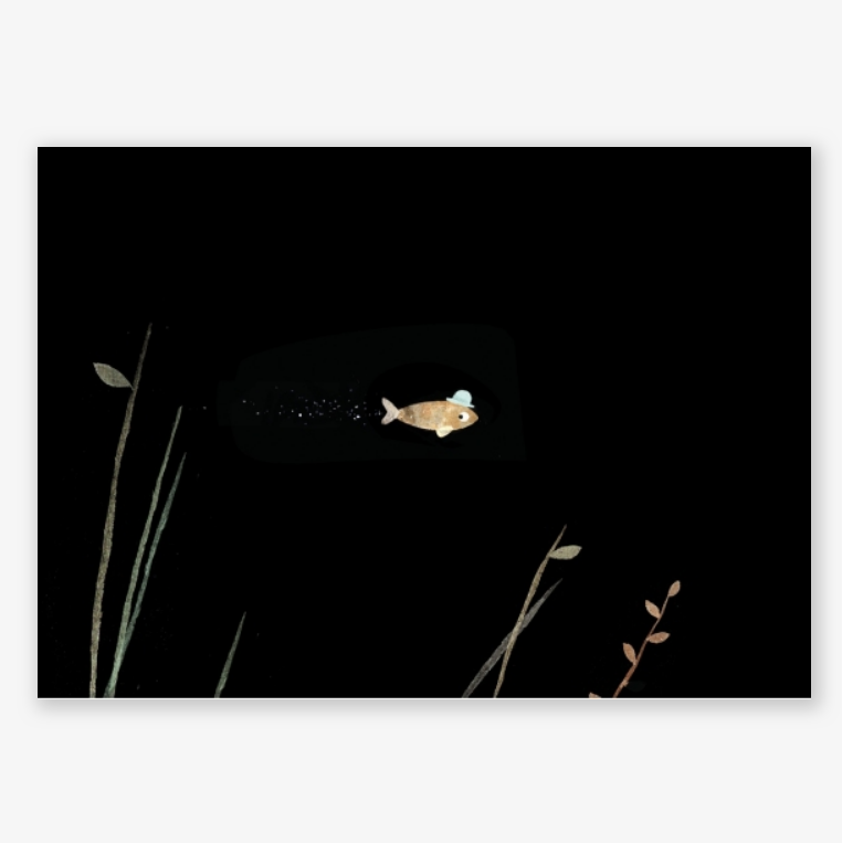 This Is Not My Hat Book - Jon Klassen