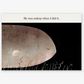 This Is Not My Hat Book - Jon Klassen