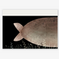 This Is Not My Hat Book - Jon Klassen