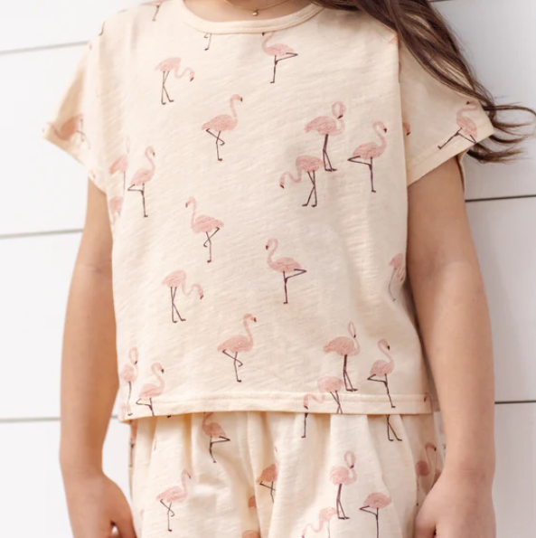 Flamingo Raegan Set - Rylee & Cru