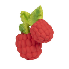 Valery the Raspberry - Oli & Carol