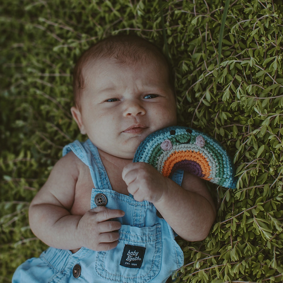 Muted Rainbow Weather Rattle - Pebble