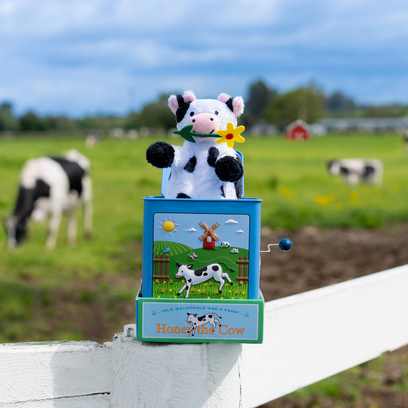 Honey the Cow Jack in the Box - Jack Rabbit Creations