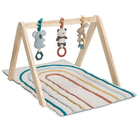 Bitzy BeSpoke Activity Gym - Itzy Ritzy