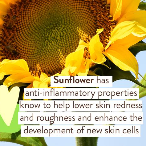 Sensitive Mineral Sunscreen Lotion - Babo Botancials