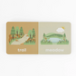 Mountain Baby Board Book - Danielle Wilson
