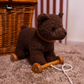 Pull Along Raoul - Egmont Toys