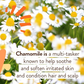 Moisturizing Miracle Face Cream - Babo Botancials