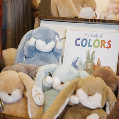 My Book of Colors - Bunnies By The Bay