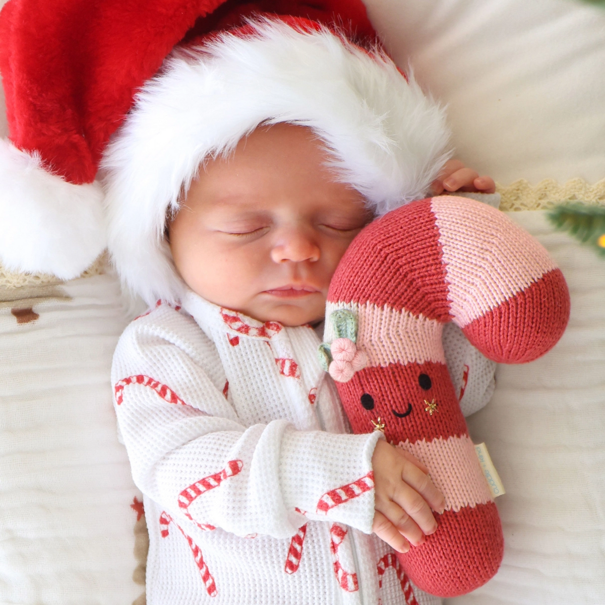 Blush Stripe Candy Cane - Cuddle + Kind