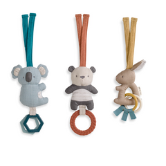 Bitzy BeSpoke Activity Gym - Itzy Ritzy