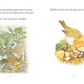 The Tale of Peter Rabbit - Beatrix Potter
