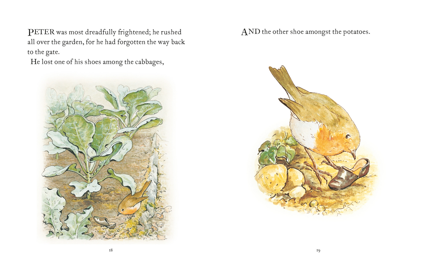 The Tale of Peter Rabbit - Beatrix Potter