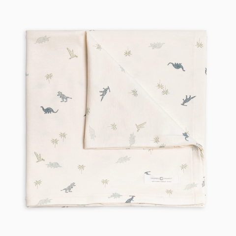Thyme Dino Swaddle Blanket - Colored Organics