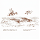 Make Way For Ducklings - Robert McCloskey