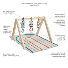 Bitzy BeSpoke Activity Gym - Itzy Ritzy