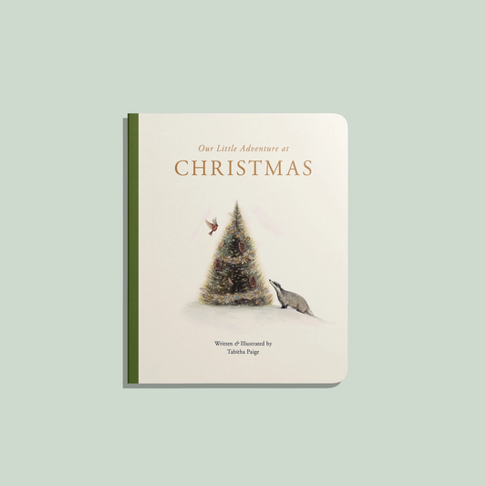Our Little Adventures At Christmas - Paige Tate & Co