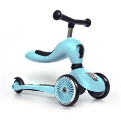 Blueberry Highwaykick 1 - Scoot & Ride