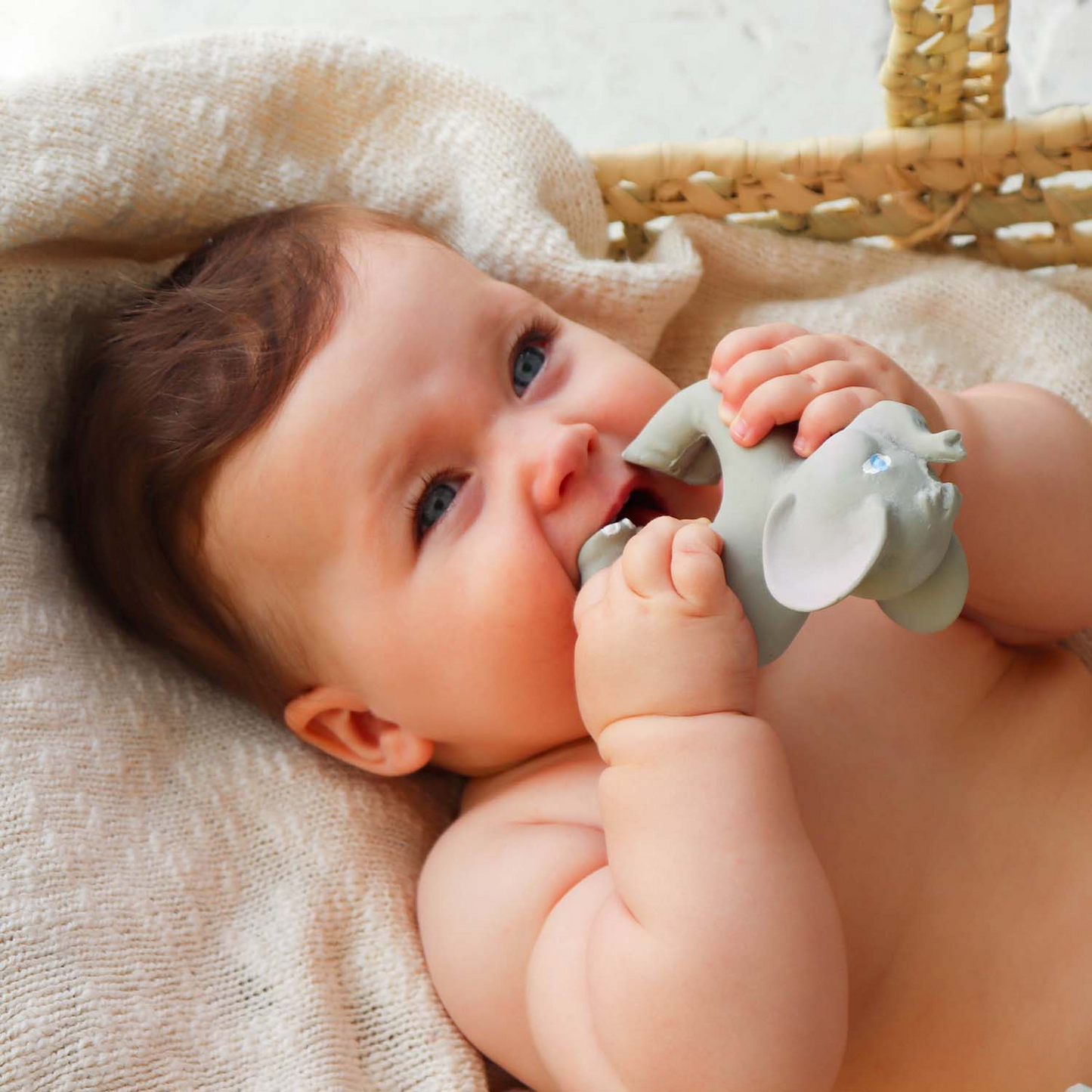 Nelly the Elephant Teether - Oli & Carol