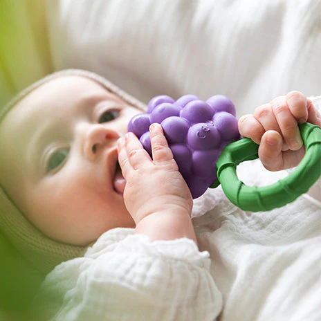 Grape Rattle, Sunflower & Ramonita Teething Gift Set - Oli & Carol