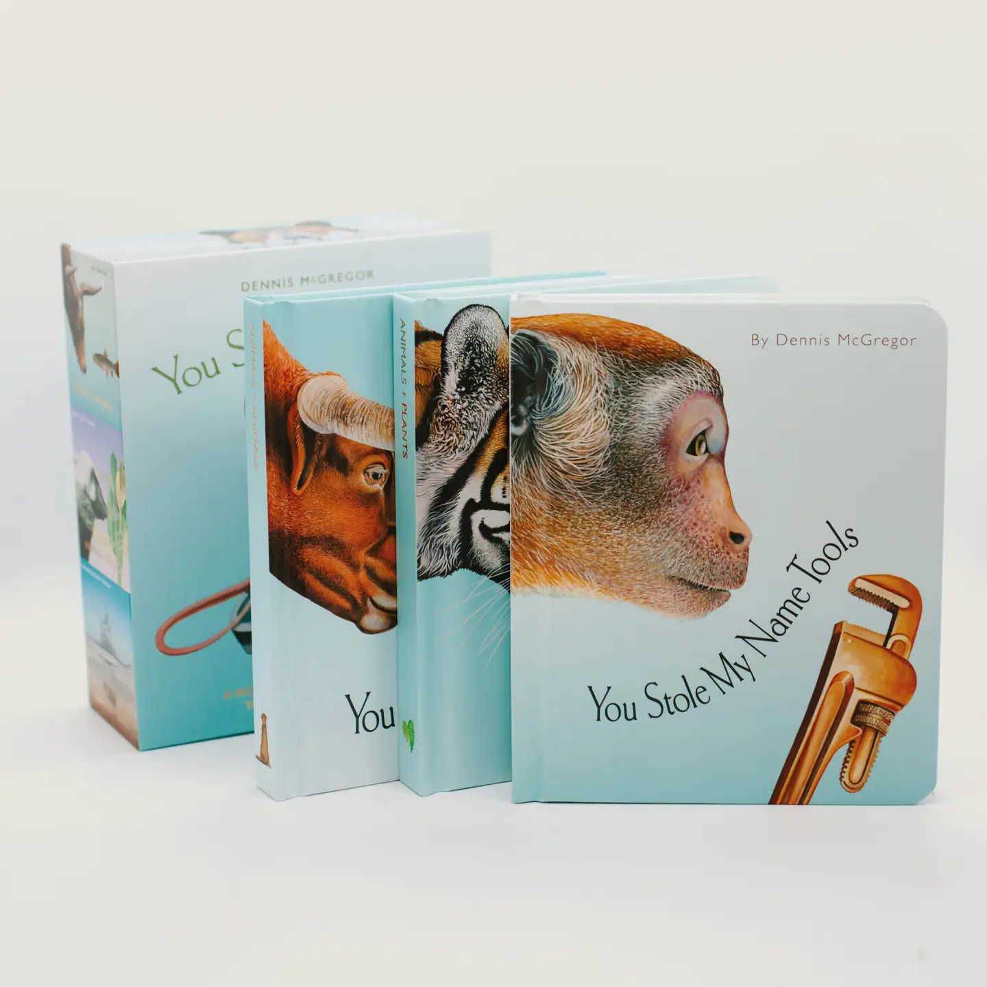 You Stole My Name Box Set - Dennis McGregor