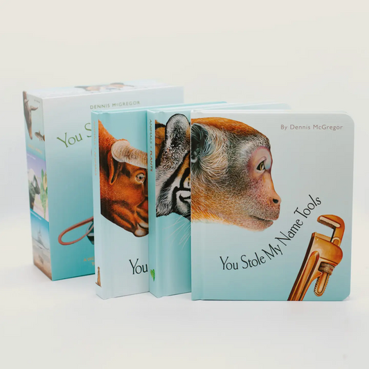 You Stole My Name Box Set - Dennis McGregor