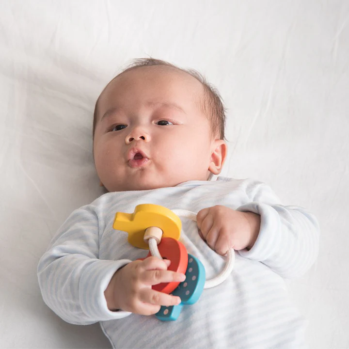 Baby Key Rattle - Plan Toys