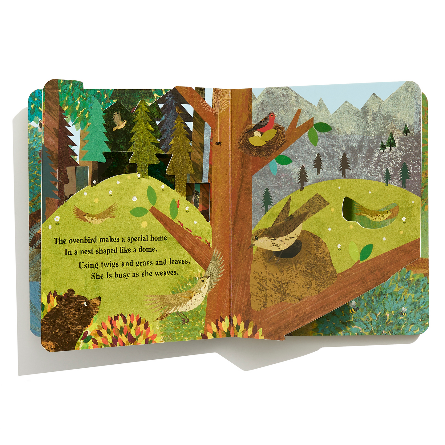 Home Peek Through Board Book - Britta Teckentrup