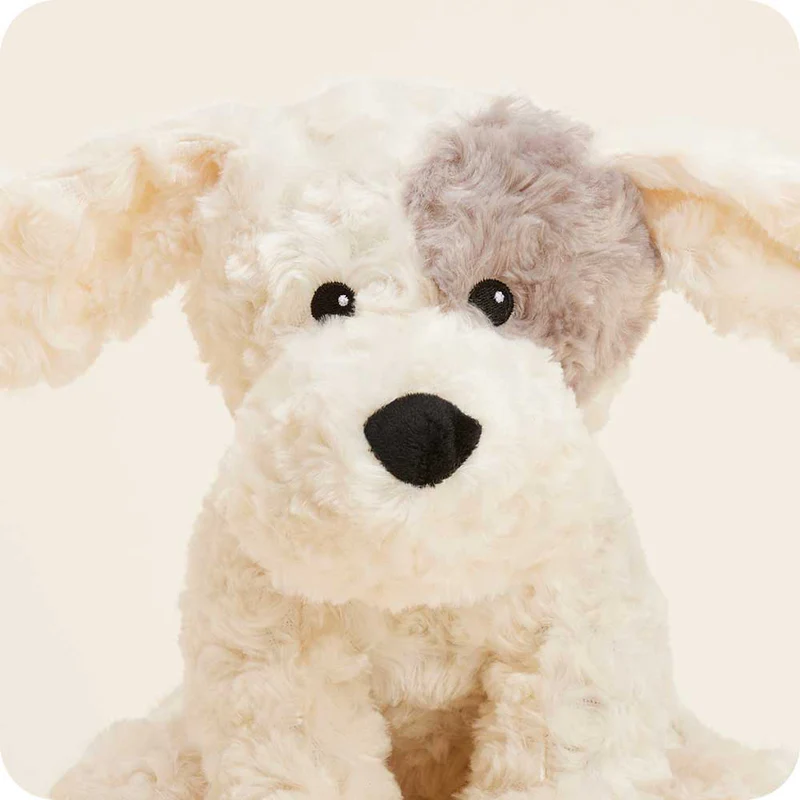 Patch Curly Dog - Warmies
