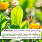 Sensitive Baby Lotion - Babo Botanicals