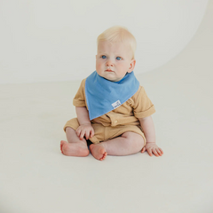 Veggie Bandana Bibs - Copper Pearl