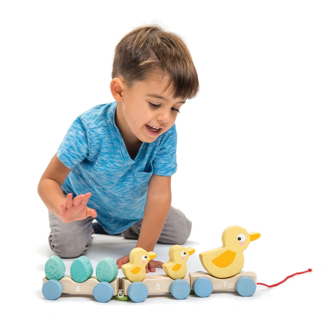 Pull Along Ducks - Tender Leaf Toys