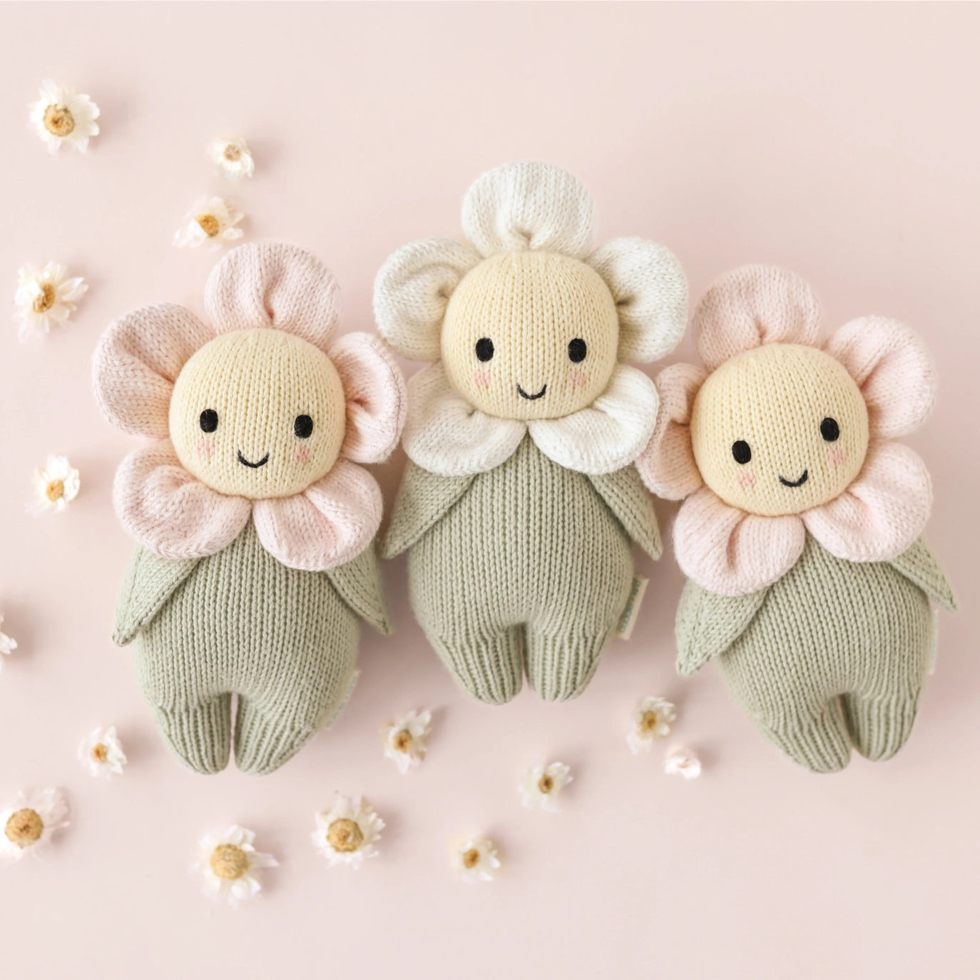 Baby Ivory Daisy - Cuddle + Kind