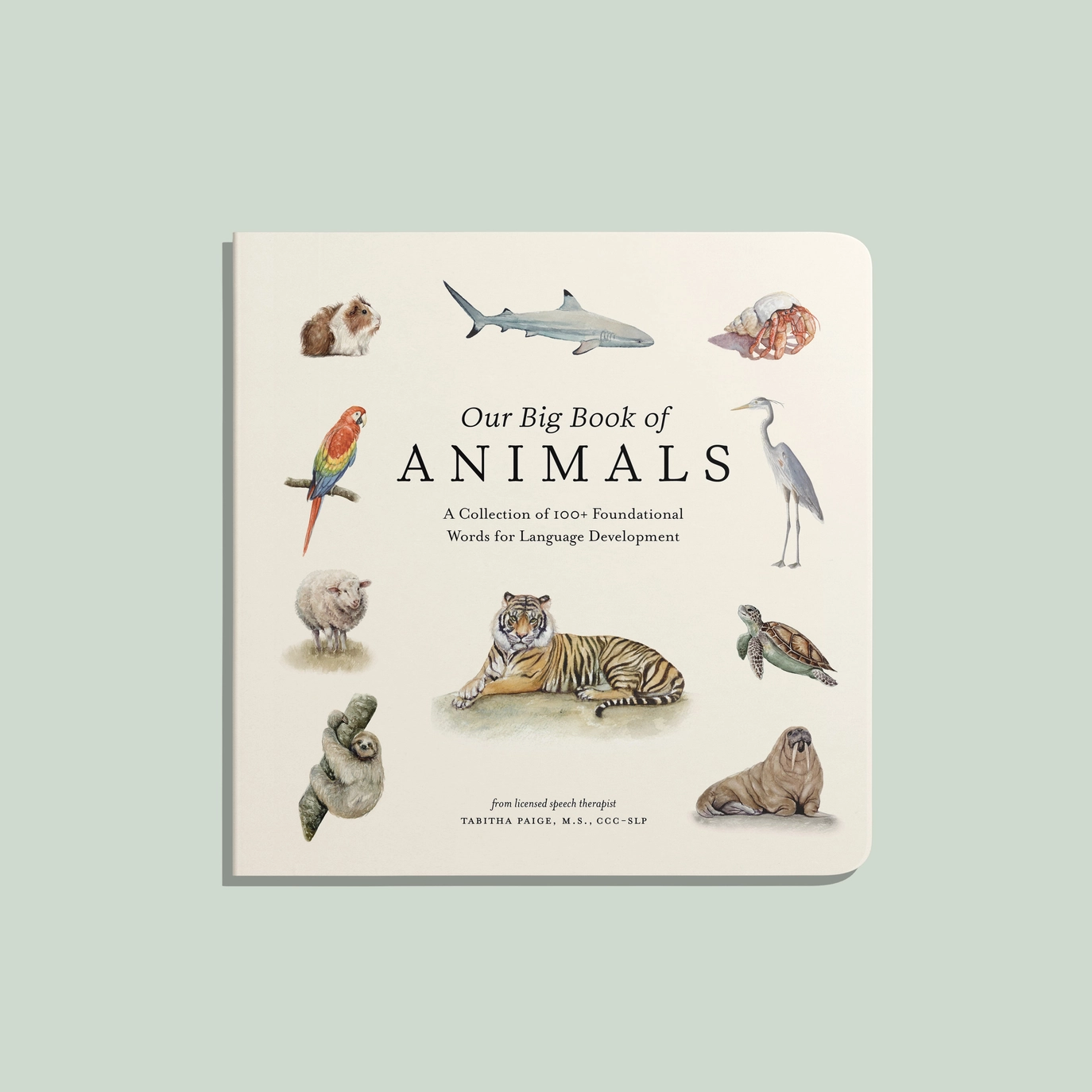 Our Big Book of Animals - Paige Tate & Co