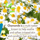 Sensitive Mineral Sunscreen Lotion - Babo Botancials