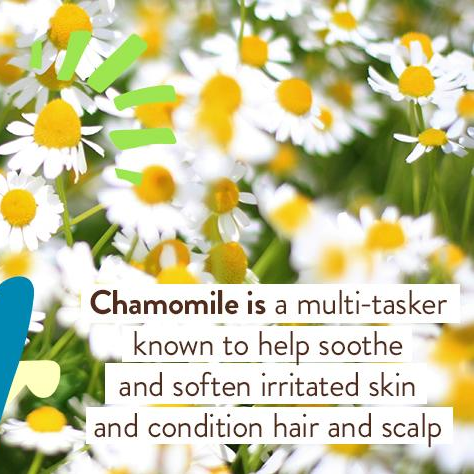 Sensitive Mineral Sunscreen Lotion - Babo Botancials