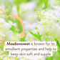 Sensitive Diaper Rash Cream  - Babo Botanicals