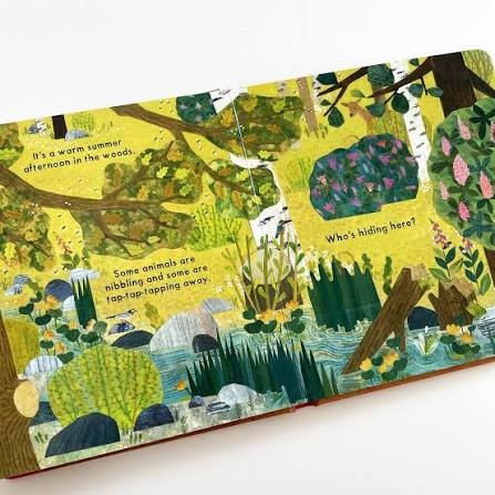 Who's Hiding In The Woods? Book - Katharine McEwen