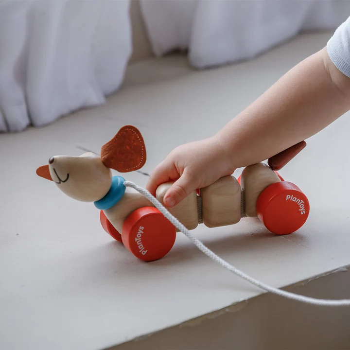 Happy Puppy - Plan Toys