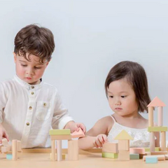 Pastel Blocks 40 ct. - Plan Toys