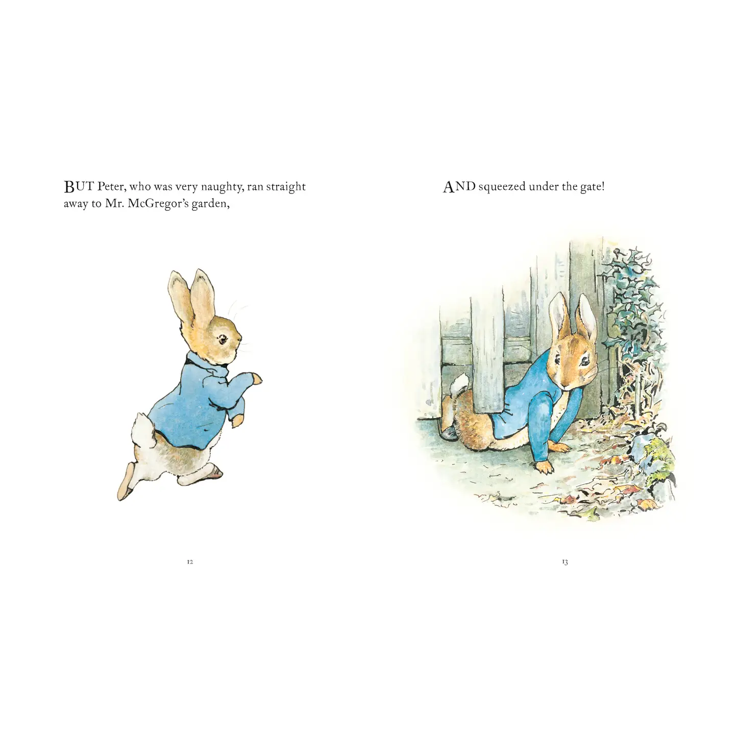 The Tale of Peter Rabbit - Beatrix Potter