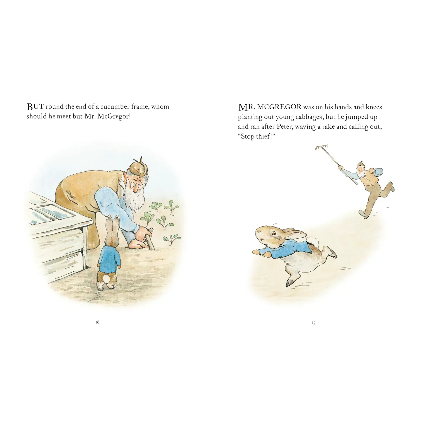 The Tale of Peter Rabbit - Beatrix Potter