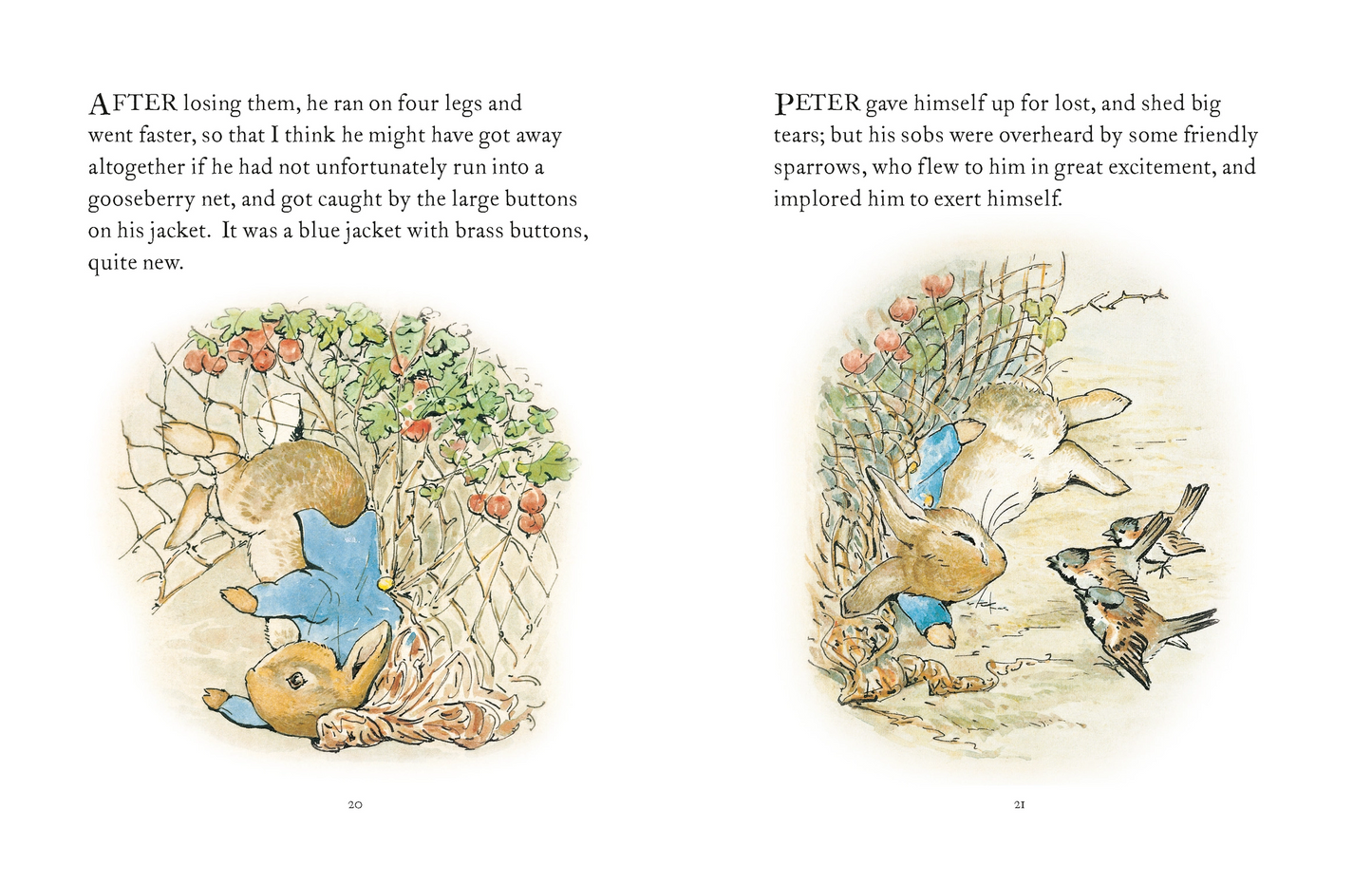 The Tale of Peter Rabbit - Beatrix Potter