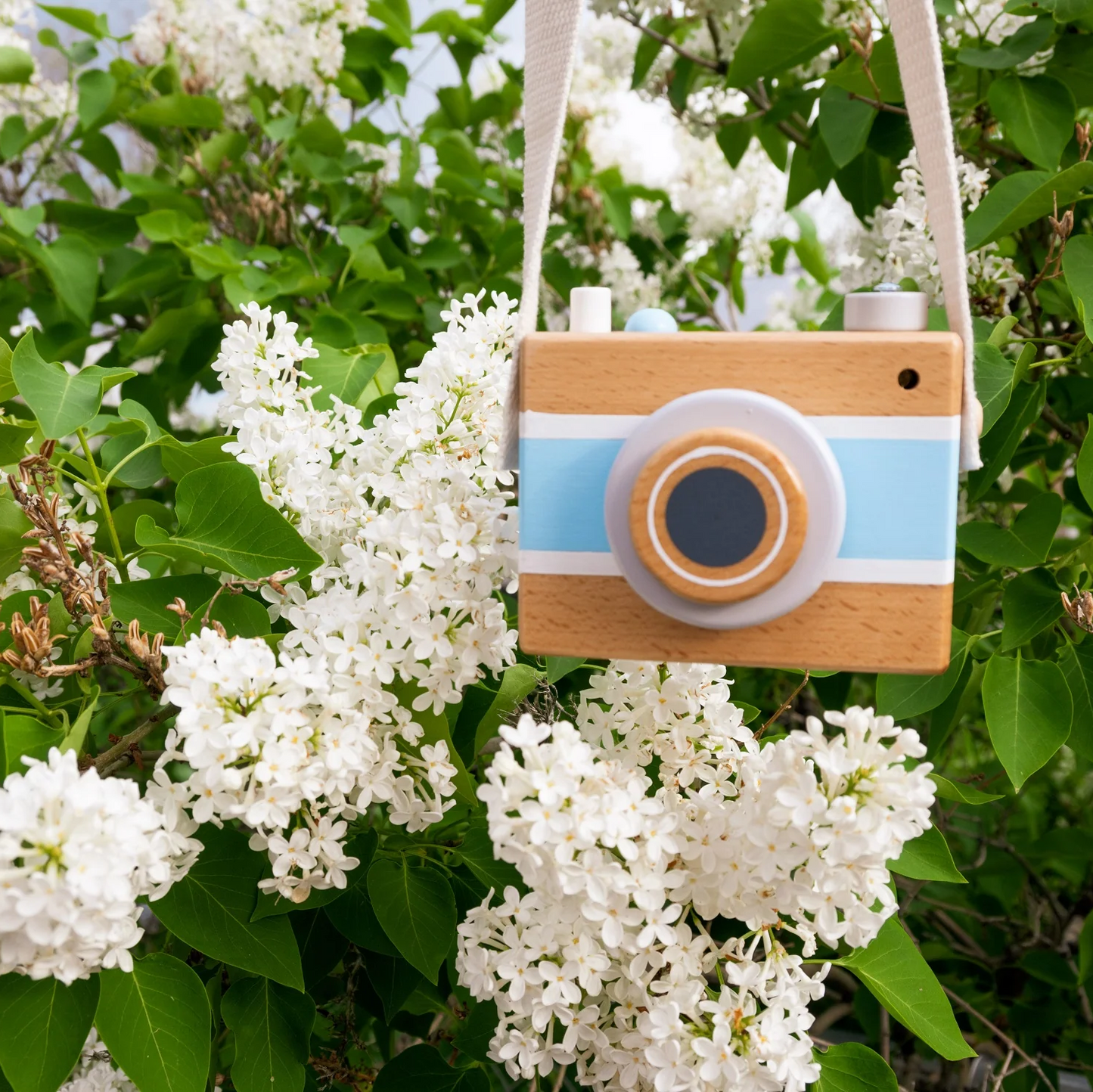 Blue Vintage Camera Music Box - Jack Rabbit Creations