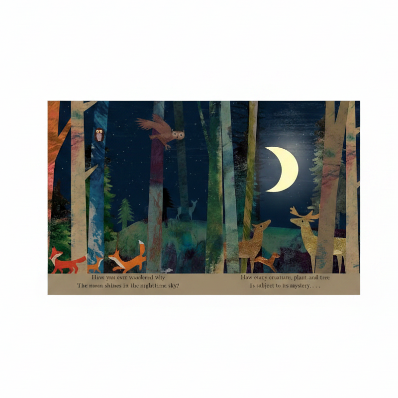 Moon Peek Through Board Book - Britta Teckentrup